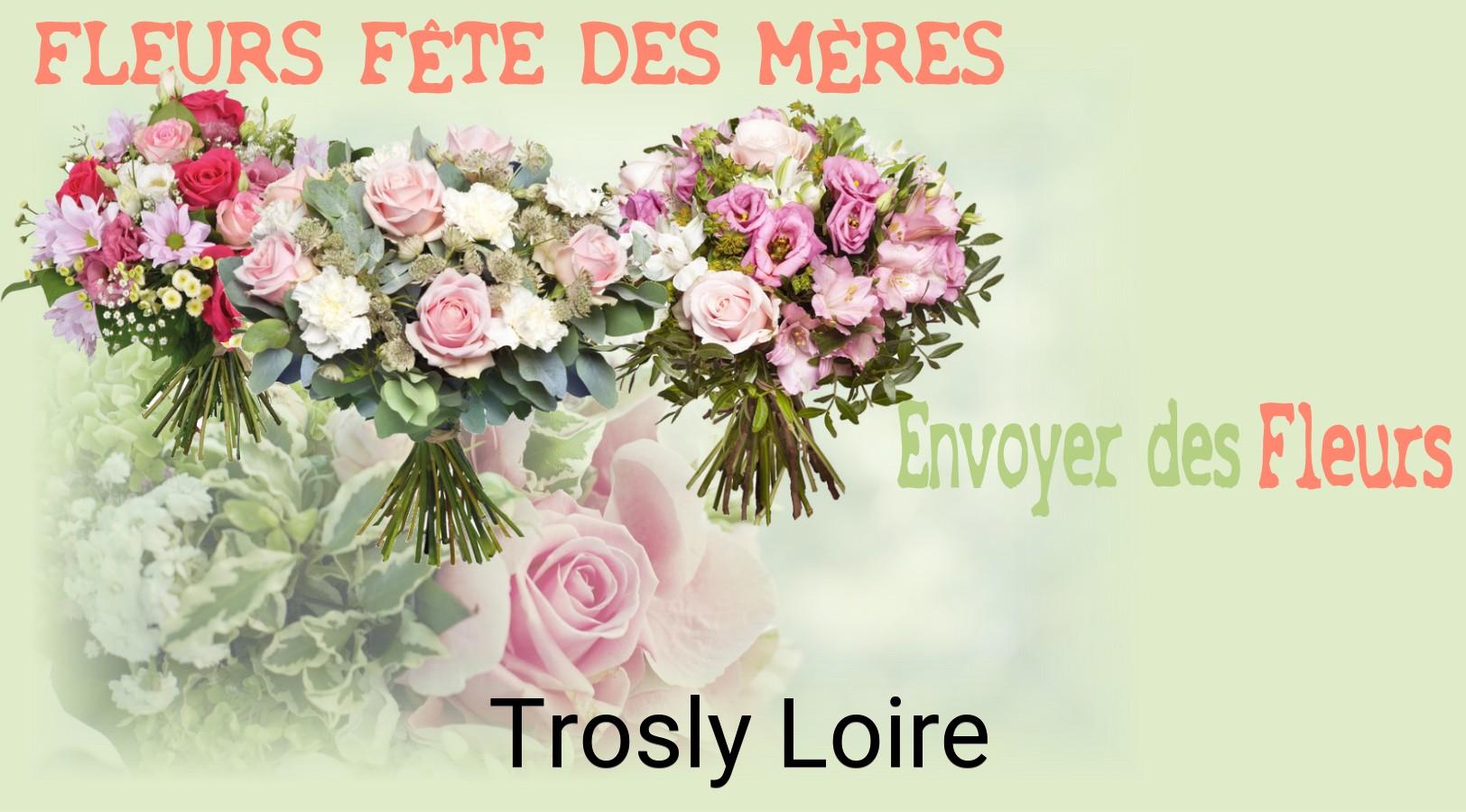 Bouquet de Fête des Mères livré à Trosly-Loire